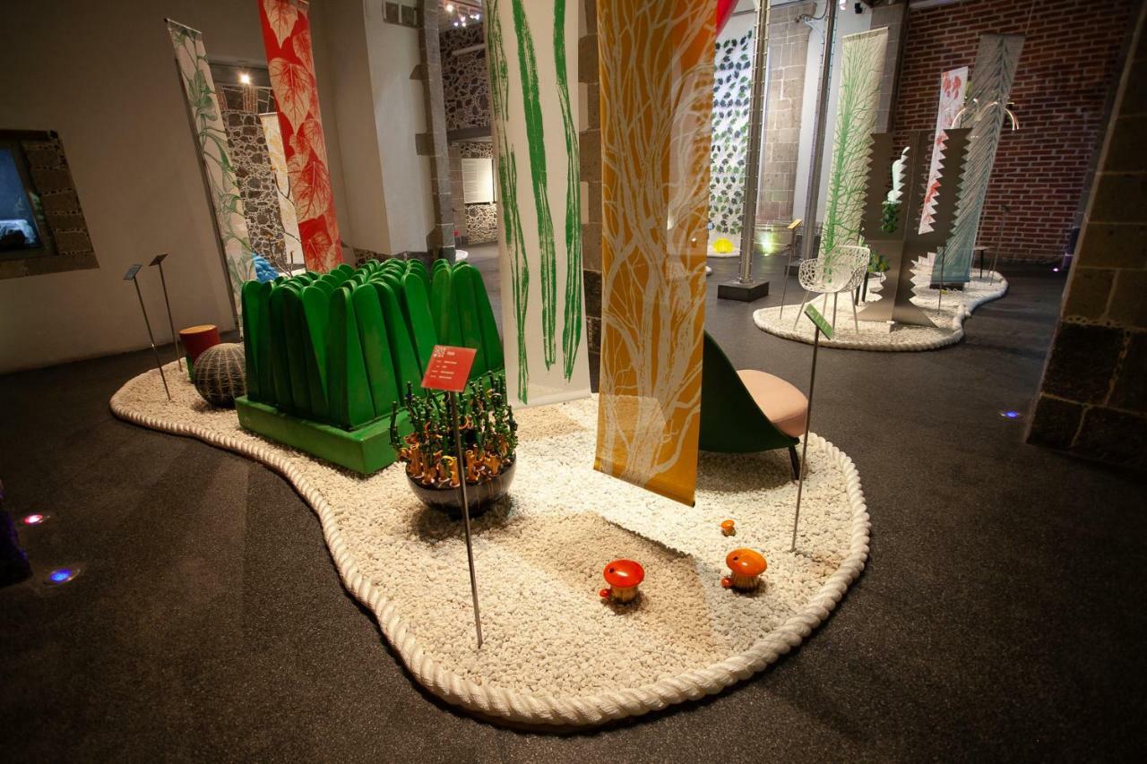 מקסיקו סיטי Mumedi Design Hotel מראה חיצוני תמונה